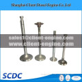 Iveco engine parts, Iveco intake valve